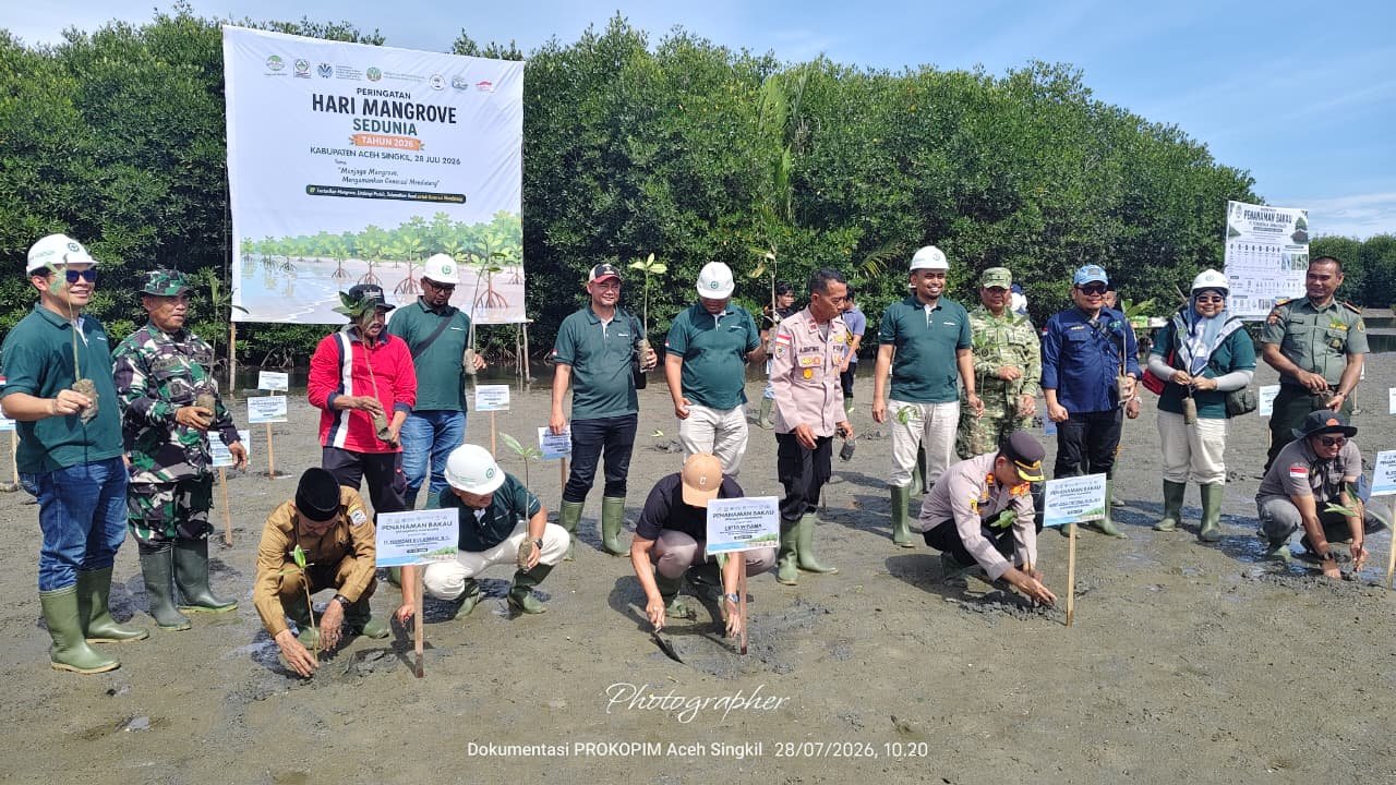 IMG-20260728-WA0084