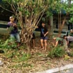 IMG-20260816-WA0030